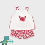 Imagen anterior del producto